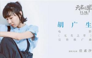 胡广生这首歌表达什么意思