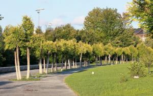 催官运,要想有官运,不妨试试这几招