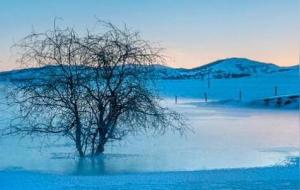 命硬的几个农历生日