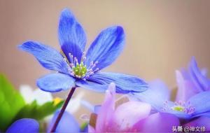 分手后女人越过越好