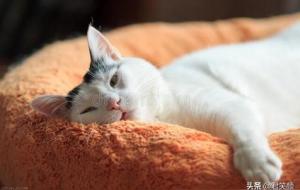 把男人撩到难受的句子