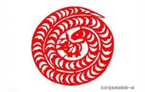 中年不缺钱,晚年长寿的四大生肖