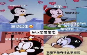 INTP人格喜欢一个人的表现