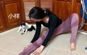 媳妇在家练瑜伽,猫的动作相当不错
