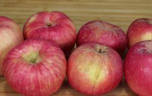 人到中年吃些什么对身体好