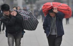 几零后都在忙啥呢