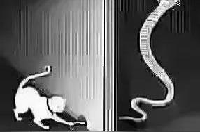 深藏不露的10种狠人