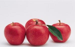 长寿的20个秘密