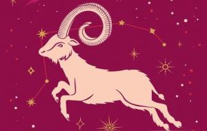 白羊座为什么是鼓励型