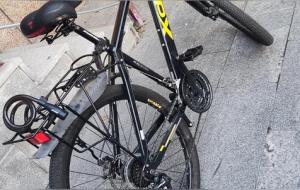 自行车品牌：哪些是国企？