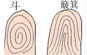 手指纹看你的桃花如何