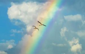 好运发财的征兆