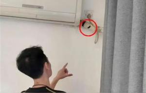 民宿里发现摄像头,民宿要承担责任吗