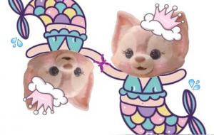 双鱼男的性格与脾气