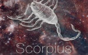 天蝎座女生的致命弱点