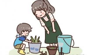 越是底层家庭出身的人,成熟的越晚