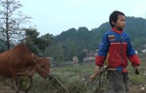 厉害的孩子都不在父母身边