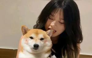 斗数看你是否适合养宠物