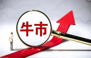 新手死于牛市,散户的口诀