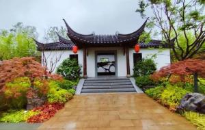 能量较强和磁场较乱的地方