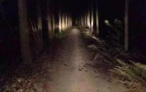 属虎、龙、兔的禁忌(生肖篇)