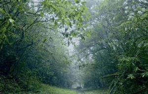 预测云南哀劳山里面有没有宝藏?有没有人?