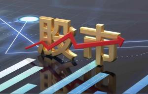 股市韭菜的心里路程