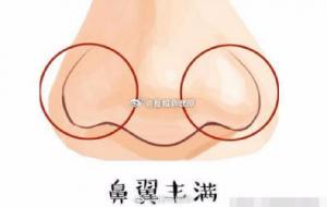 鼻翼丰满的人，一般都是大富大贵之人