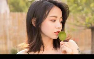 十二星座套路排行榜