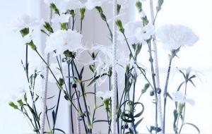 自我推算结婚期限