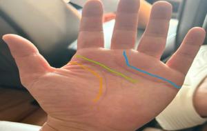 浅谈手相简单基本知识