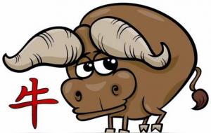 属牛人出生日看命运好不好