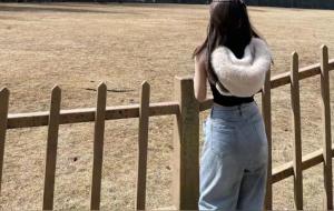 双鱼座终极大总结来啦