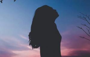 狮子是天生的王