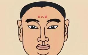 什么是罗汉眉，罗汉眉的面相性格