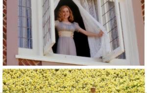 35岁前后觉醒者为天选之人